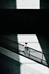 2638751
