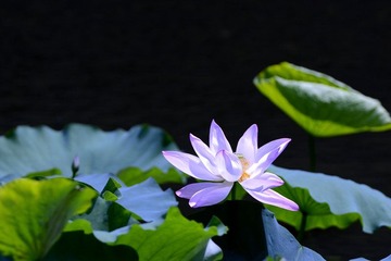 _DSC06871.jpg