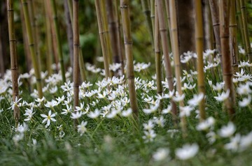 _DSC0711.jpg