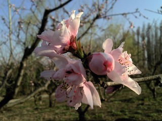 2011-04-04_16-25-25_749.jpg