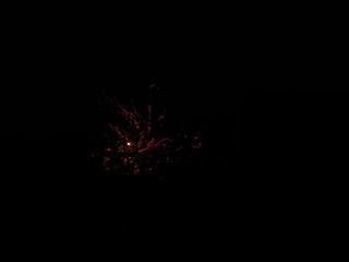 IMG_1293.jpg