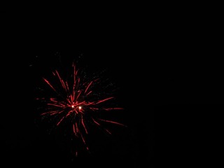 IMG_1294.jpg
