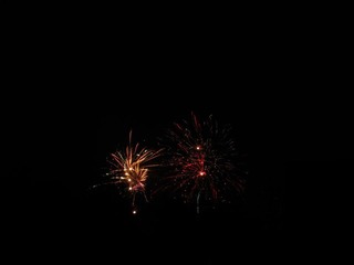 IMG_1301.jpg