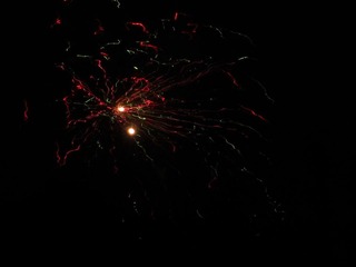 IMG_1305.jpg