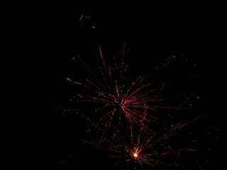 IMG_1306.jpg
