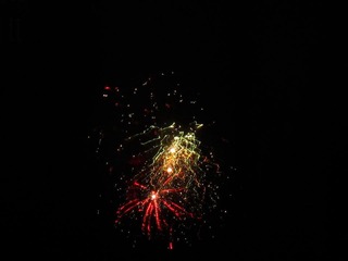 IMG_1312.jpg