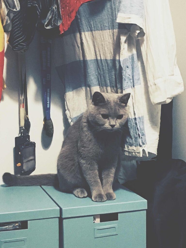 痴汉蹲