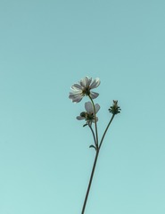 362217