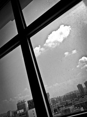 DSC01437-1.jpg