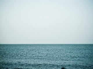 P1190140-1.jpg