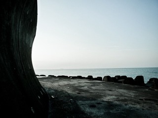P1190145-1.jpg