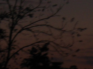 2F663559-C94A-49EF-A1D7-FB57026DD566/L0/001