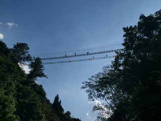 3192230