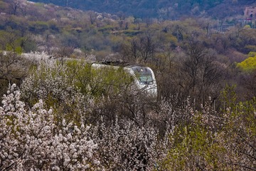 DSC_6365