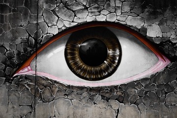 54E436F0-108B-41AC-8610-757F55A01988/L0/001
