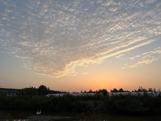 70EC2A9C-DBCE-418B-96DA-71D534C4BCA9/L0/001