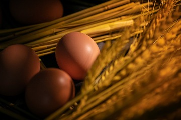 3E5C6577-5A12-45F8-B5C2-EEFC19BDC40F/L0/001