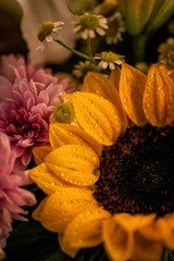AD4FD10C-E626-415F-8EF7-06743424498F/L0/001