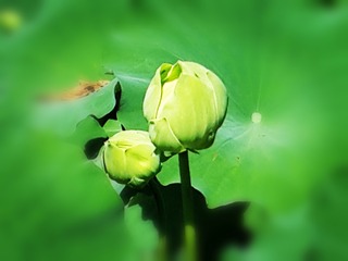 300502