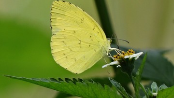 D5E7780F-C248-4929-A746-EEB020C2C03A/L0/001