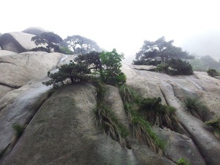 古南岳-天柱山（10）.jpg