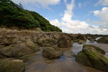 岩石.JPG