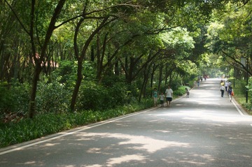 公园大路.JPG