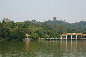 DSC09906.JPG