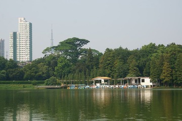 DSC09910.JPG