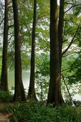 DSC09925.JPG