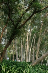 DSC09928.JPG