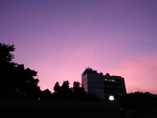 AE130EA4-5894-4D05-B80A-6593A34BFAE5/L0/001