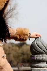IMG_0983 2.jpg