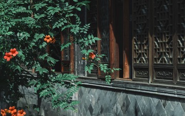 6CEC9E6C-7956-4D2C-918B-E0F52533D38A/L0/001