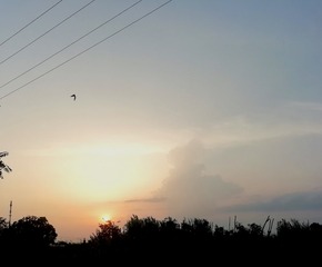 1255157