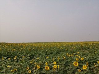 A5AA0B49-E8A7-4066-AB79-D4EBAE0689F4/L0/001