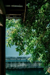 8C724528-B721-4F3E-BDC7-A4A58080A281/L0/001
