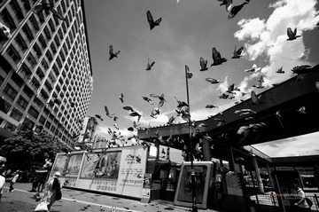 Tsim Sha Tsui,Hong Kong