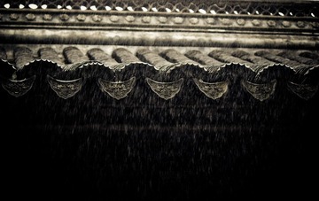 IMG_9308.jpg
