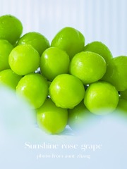 114191AF-9D9C-40FF-92B9-40B7C8BF2567/L0/001