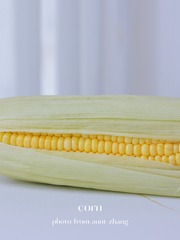 83340A01-D4F3-4677-9B07-669BCE97A233/L0/001