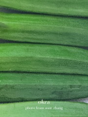 353B2EBA-0E4B-4CE0-AC0B-47D64DA7994E/L0/001