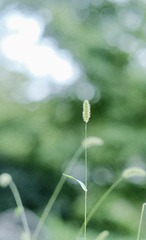 2B716E44-5FDE-4122-BE01-B7453B4F6B4A/L0/001