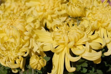 B5DD3711-198A-4D02-B1FE-0184539F4F94/L0/001