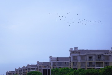 C8970FD9-D654-44F3-AF40-34A030361980/L0/001