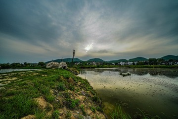 276523