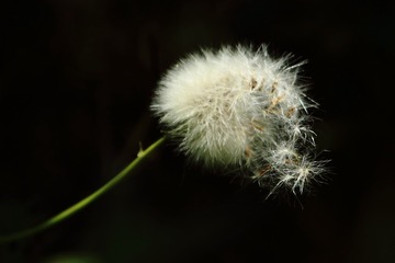 245634