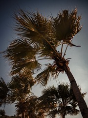 BDAB5EE3-1B00-4304-A699-7A70E93FEF56/L0/001