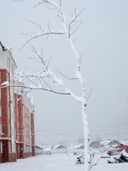 19800101-IMG_3827