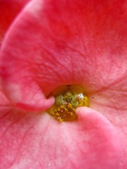 19800101-IMG_3765